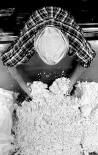 Small firms pop up to satisfy U.S. craving for chichi cheese  