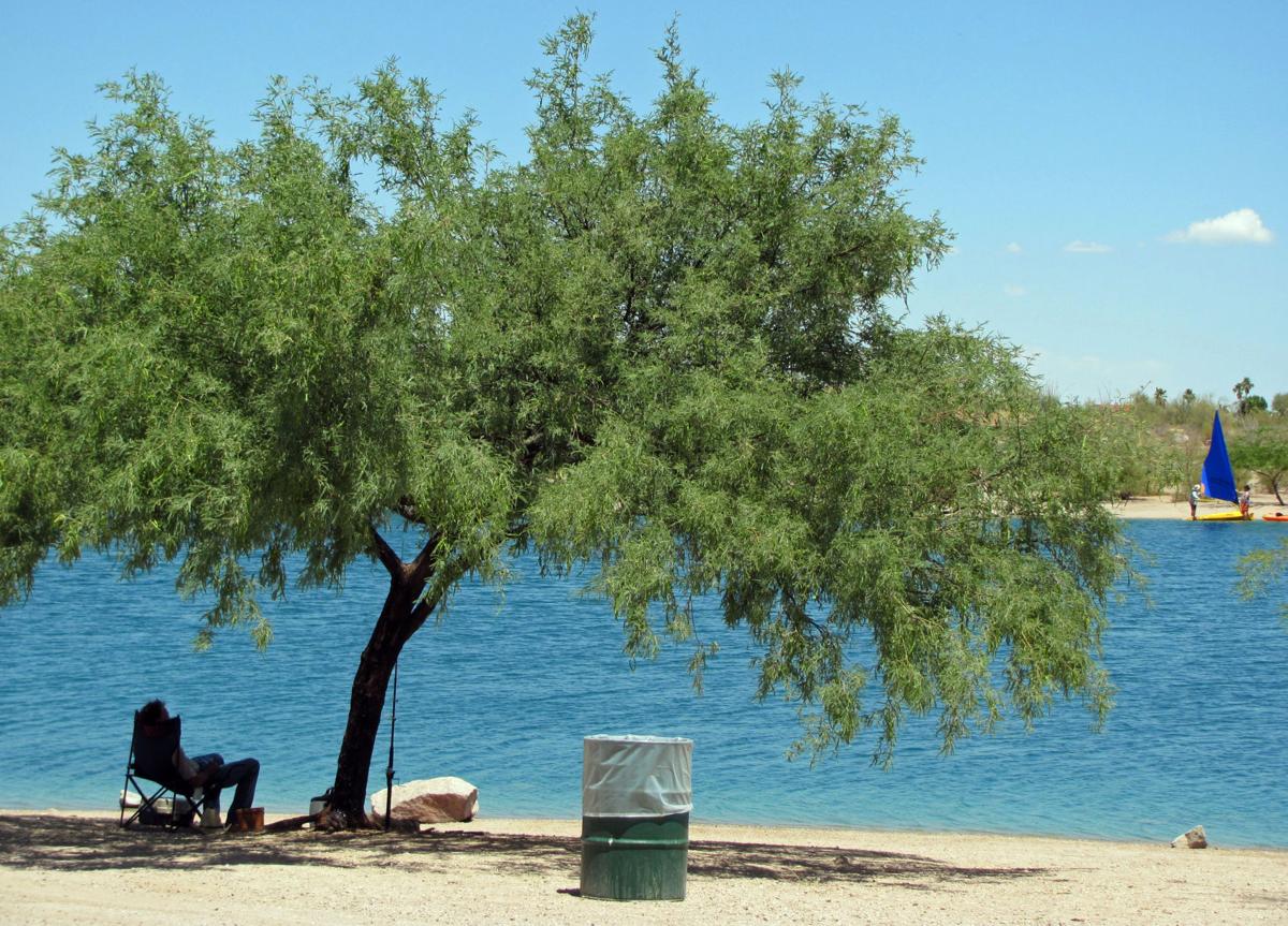 Tucson fishing holes provide fresh air, social distancing and dinner