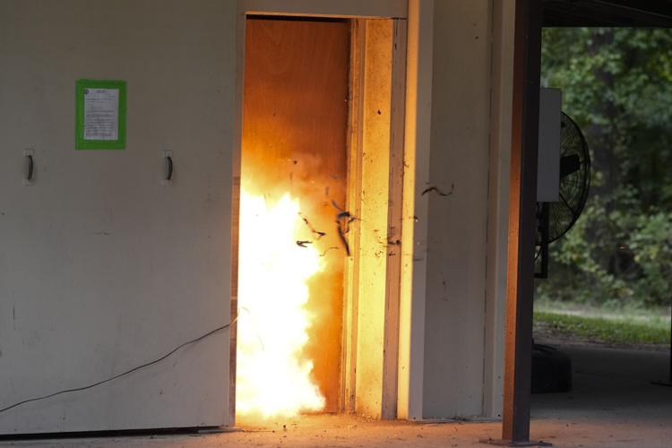 US Military Brain Injuries