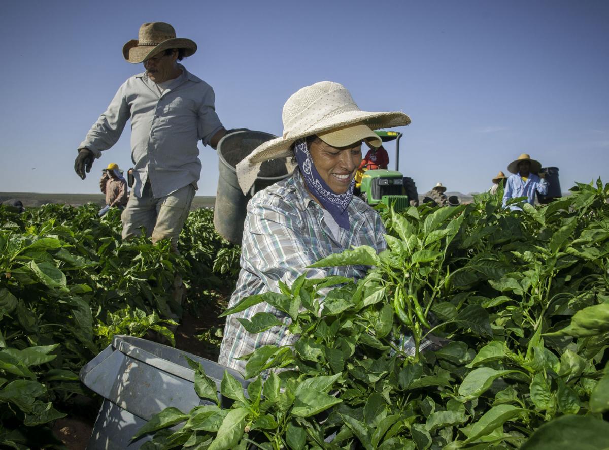 Saving-Chile-Immigration
