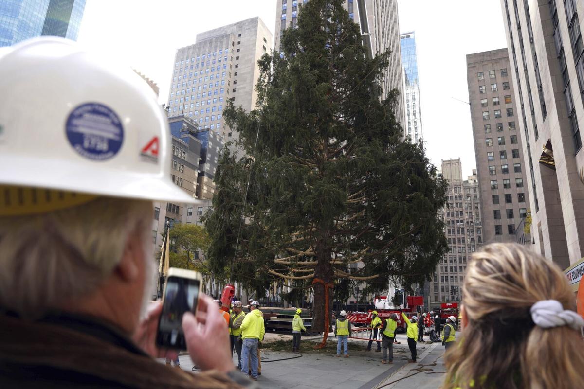 Rockefeller Christmas tree lighting 2021 set for Wednesday evening