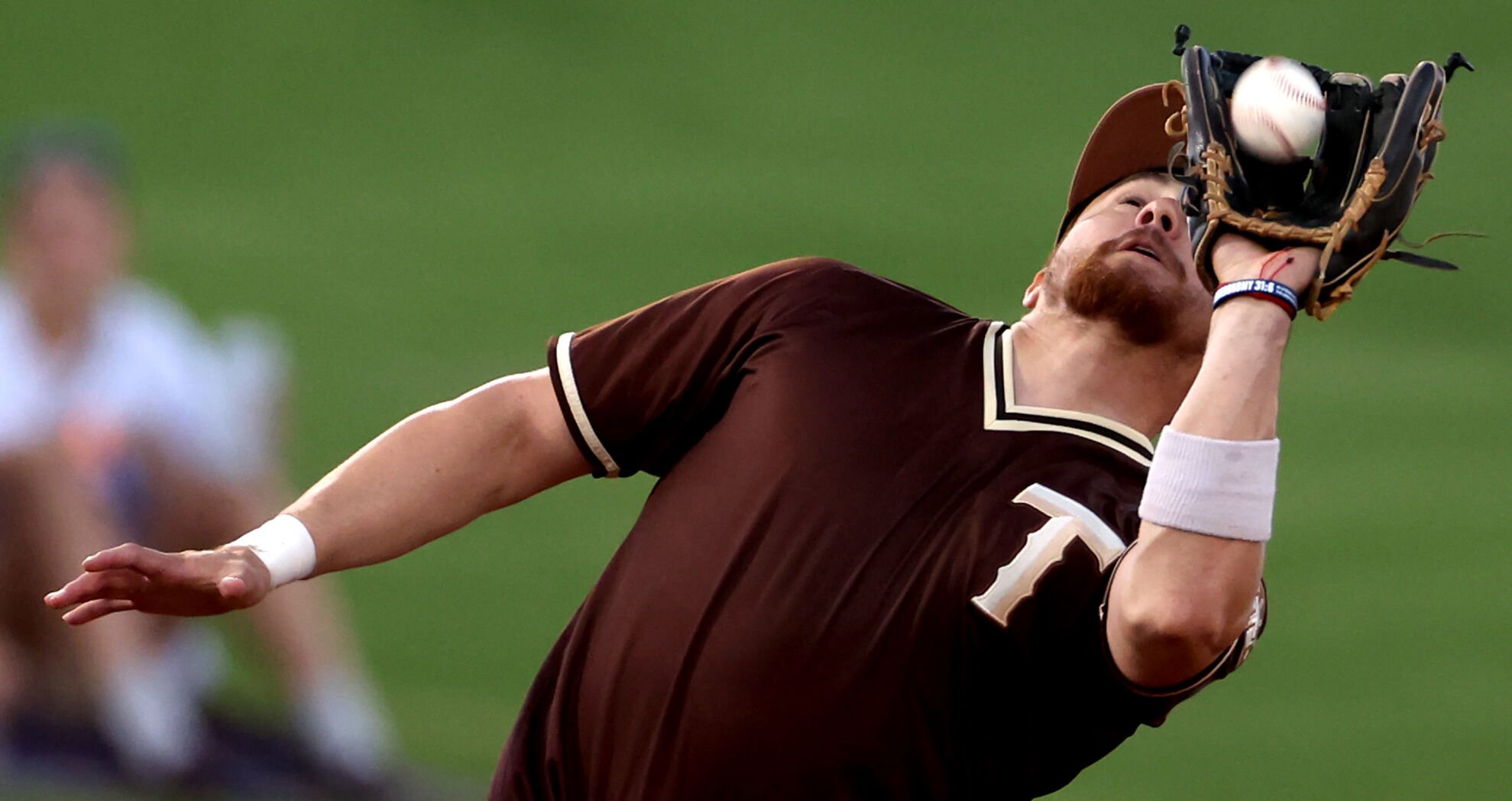 Mexican Baseball Fiesta