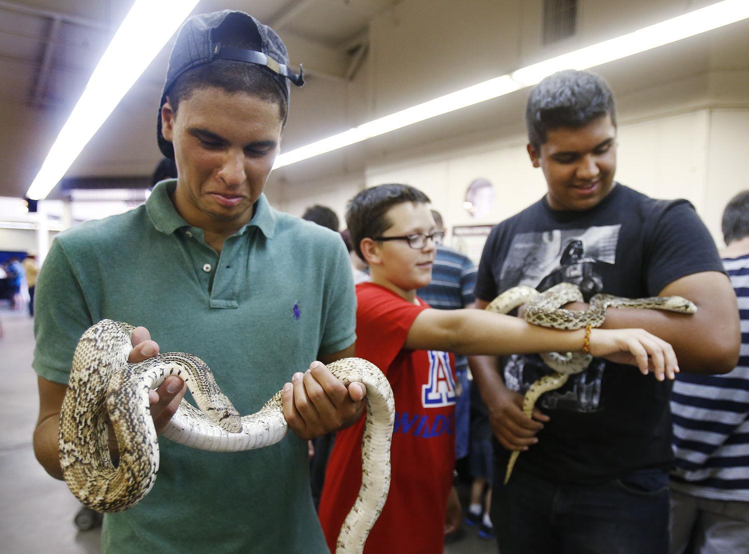 Photos Tucson Reptile and Amphibian Show Local news