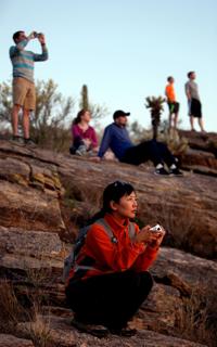 Saguaro National Park