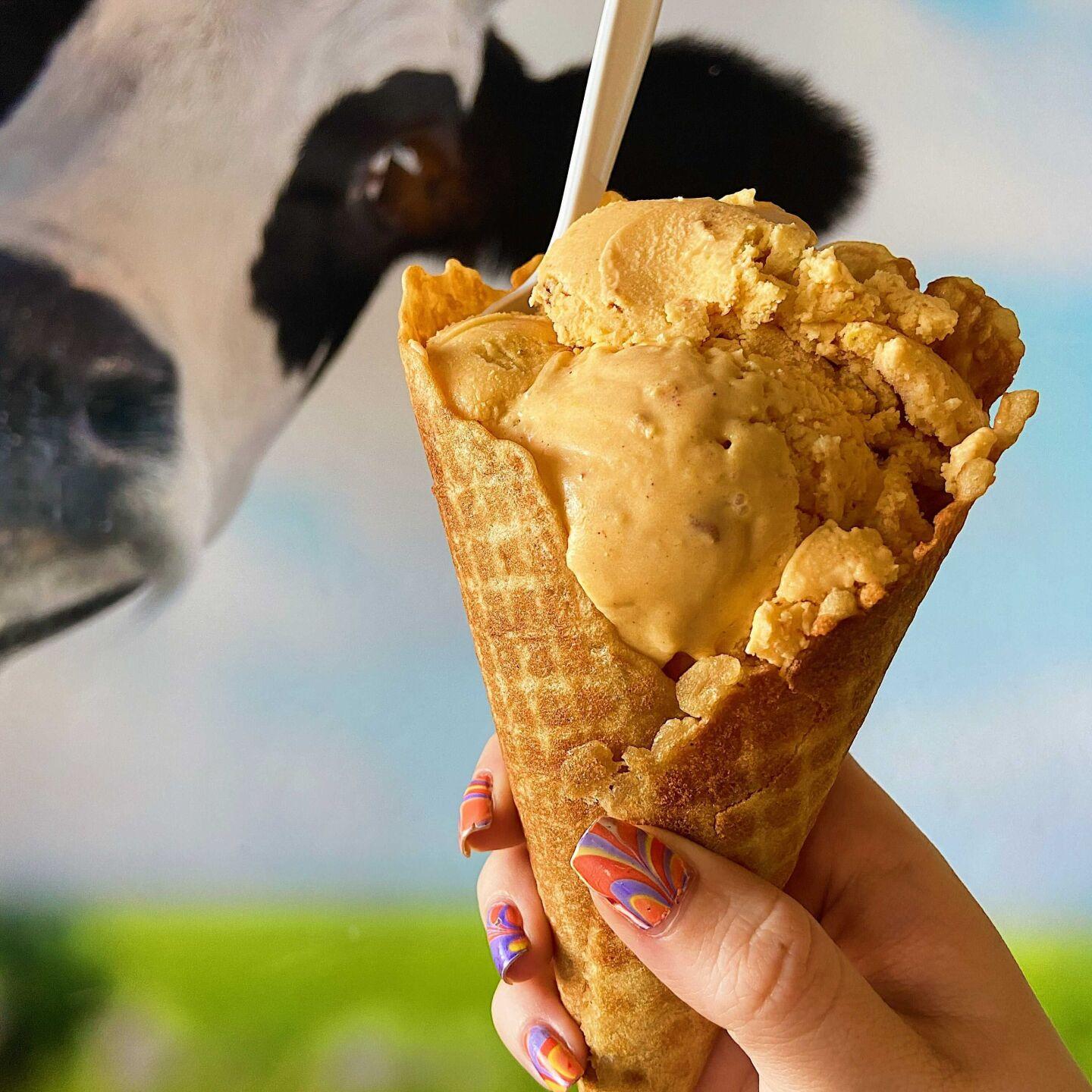 12 places to get locally made ice cream, gelato and frozen yogurt eat