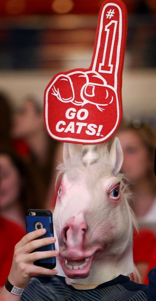 For Sale On Tucson Craigslist Desert Unicorn Local News Tucson Com