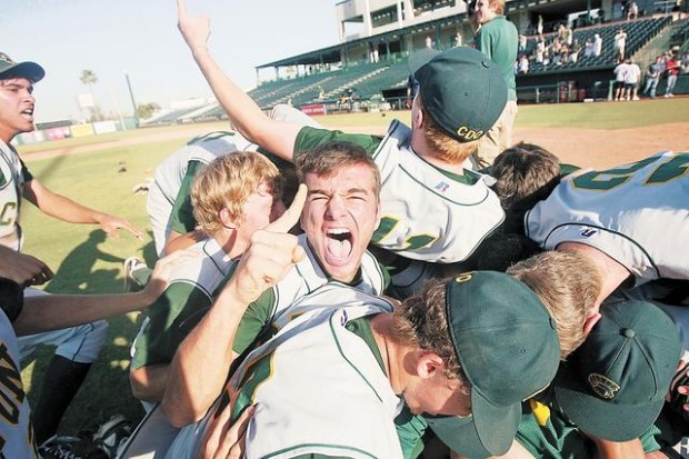 CDO overpowers Cactus  