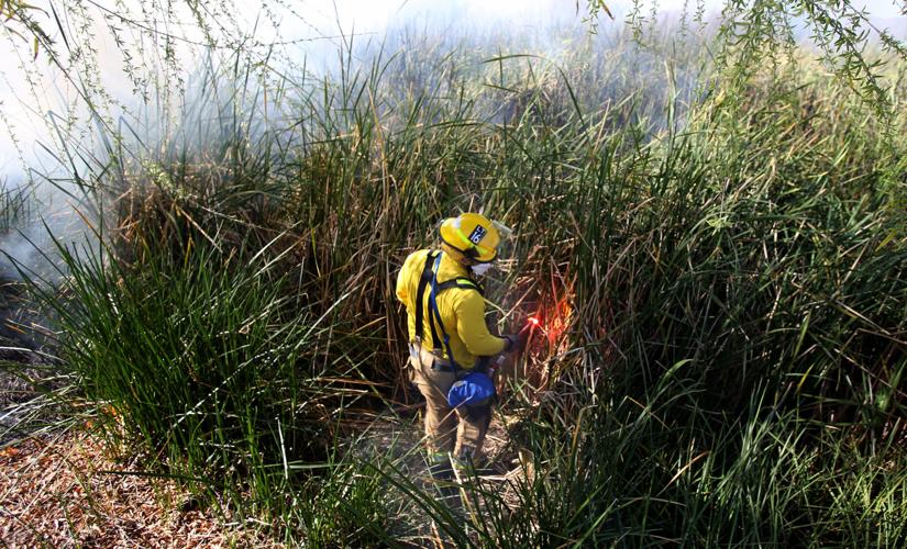 Sweetwater Wetlands Control Burn