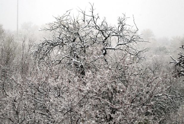 Snow falls in Tucson area