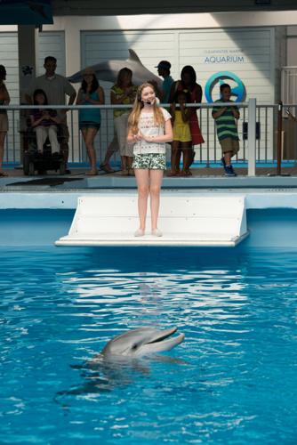 'Dolphin Tale 2'