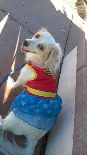 Happy National Dog Day!