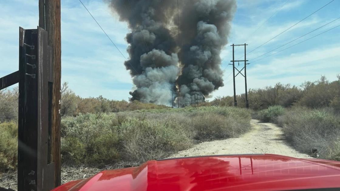 Invasive trees fuel Arizona fires