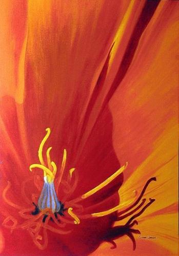 'Nature up close and in depth'  