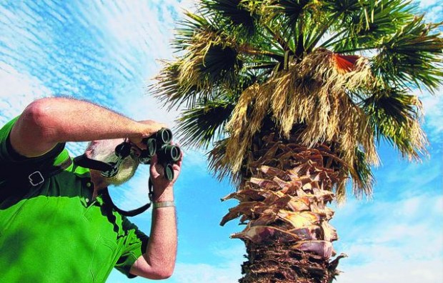 Agua Caliente Park: Tucson's oasis  