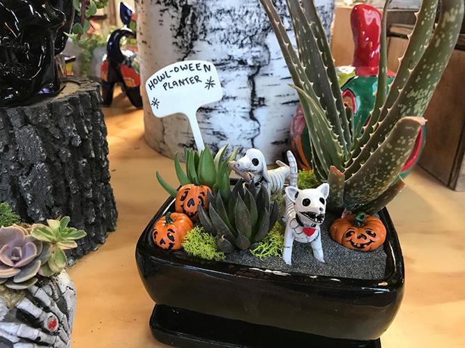 Green things spooky garden