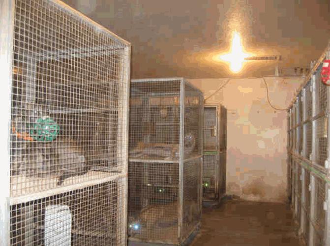 Tucson Greyhound Park