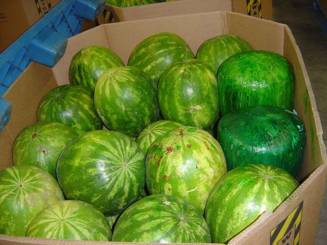 Watermelon pot