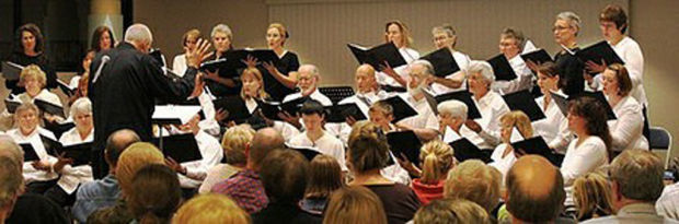 Marimba show, wildlife rehab and more    