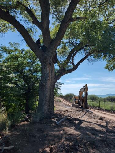 Organ Pipe monument closes roads to clear path for 2nd border wall construction