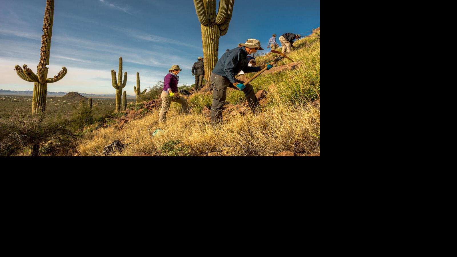 State grant to help ongoing war on weeds at Catalina State Park