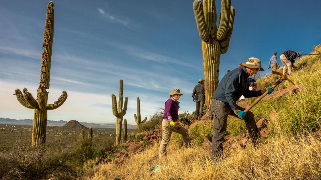 State grant to help ongoing war on weeds at Catalina State Park