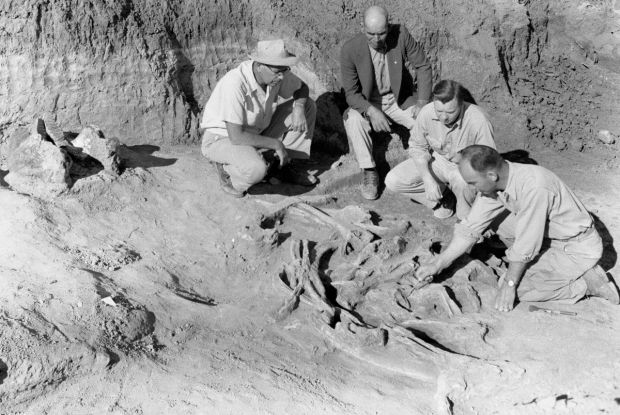 Arizona State Museum celebrates 120 years