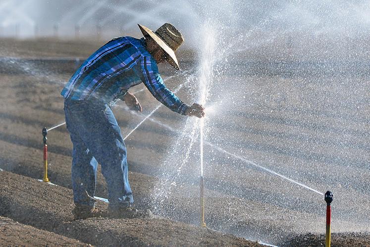 Colorado River Arizona California