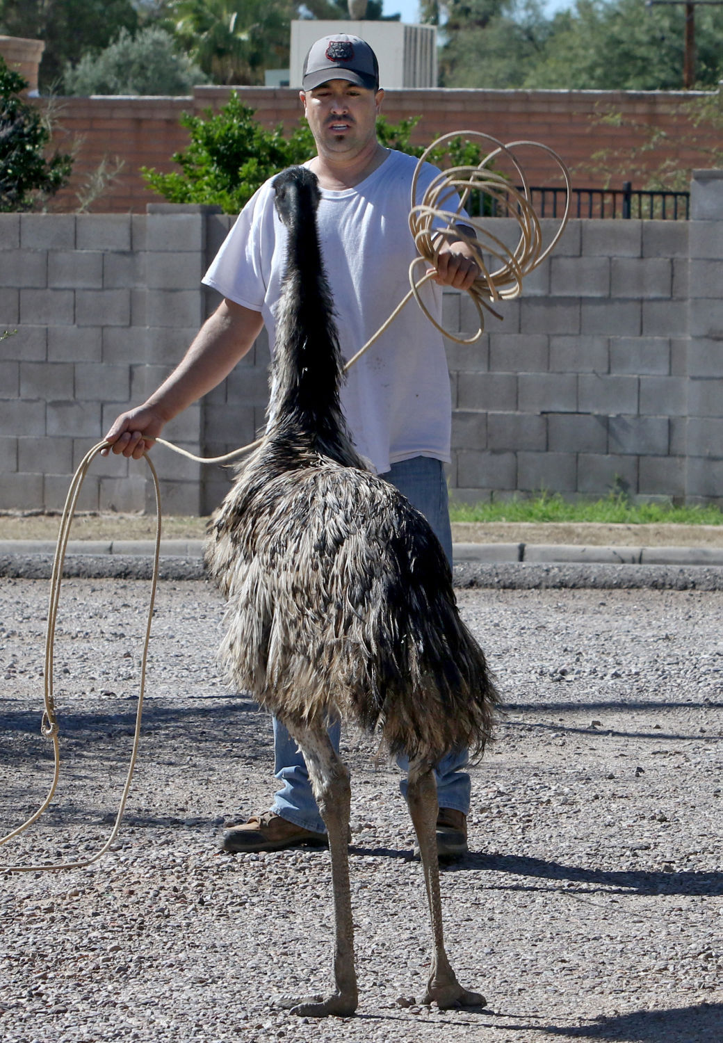 Arizona Photojournalism award-winners