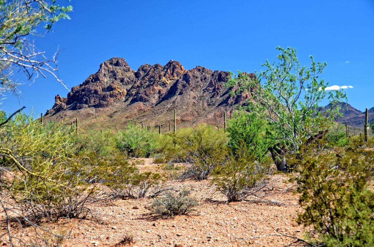 Ironwood Forest National Monument