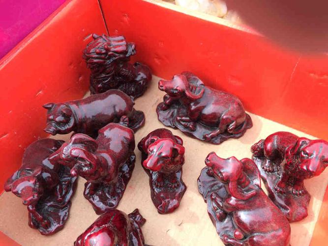 Animals of the Gem Show