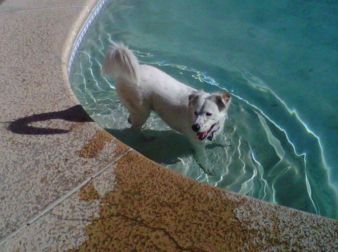 Happy National Dog Day!