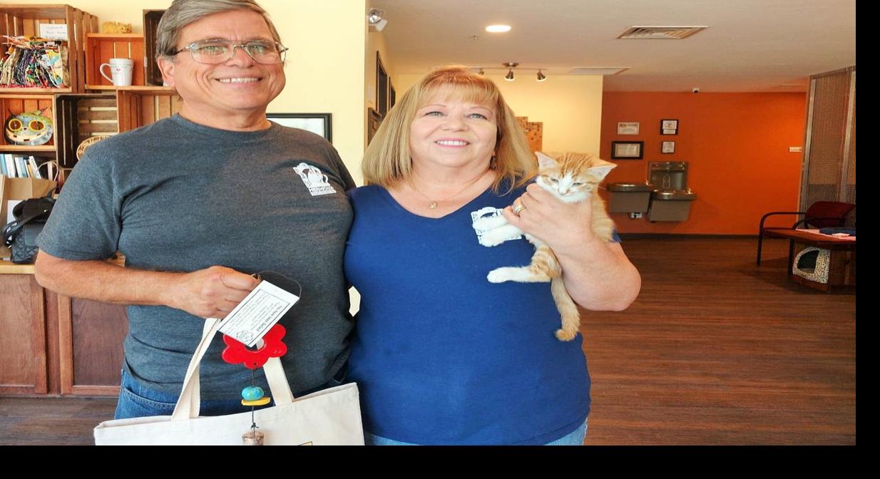Volunteers At Cat Shelter Recognized For Their Dedication Local