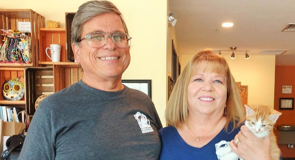 Volunteers At Cat Shelter Recognized For Their Dedication Local News Tucson Com