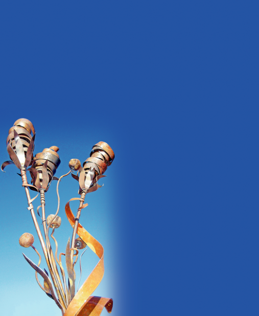 Plants inspire his metal art Tucson Homes