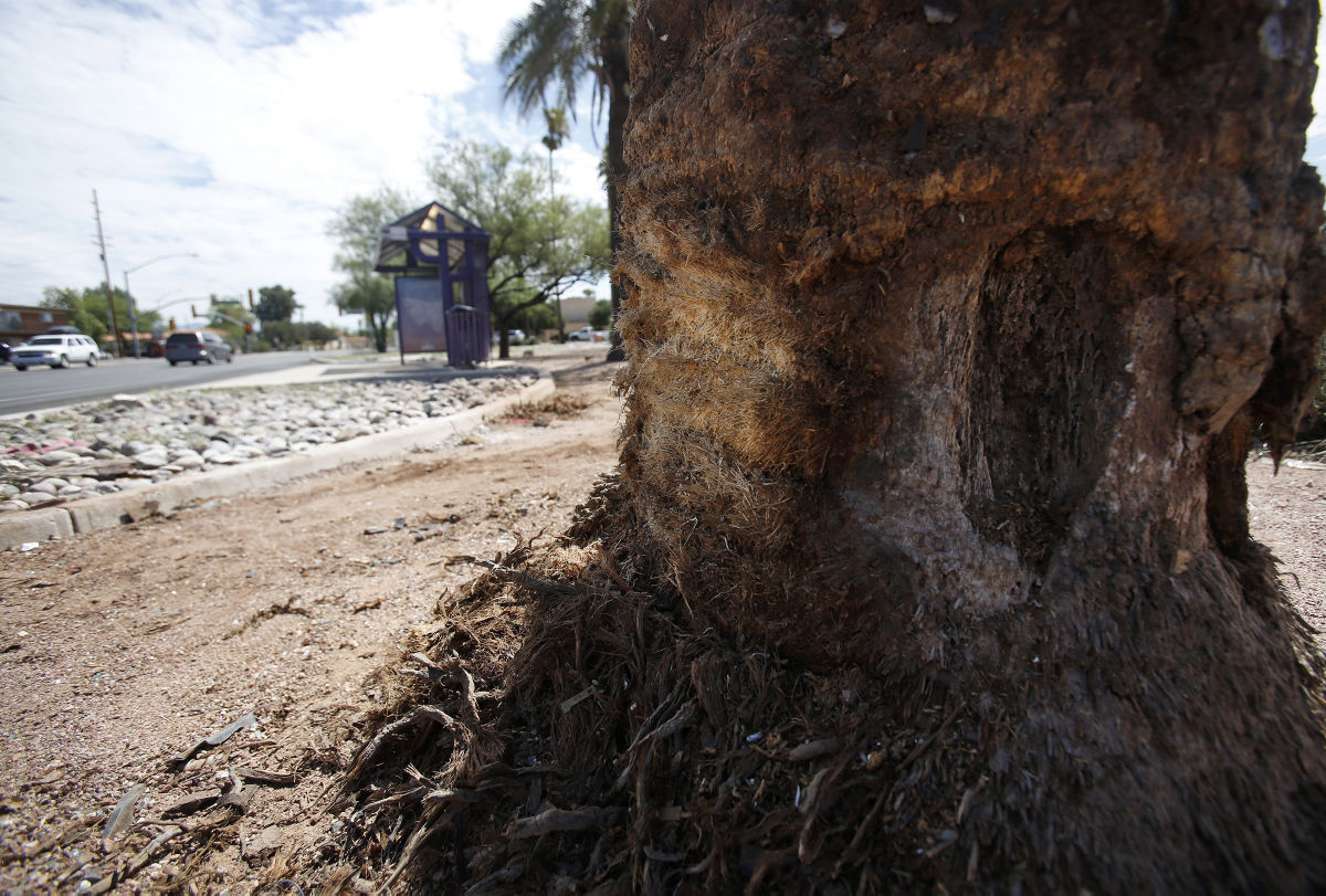 Pregnant woman among 4 killed in Tucson crash