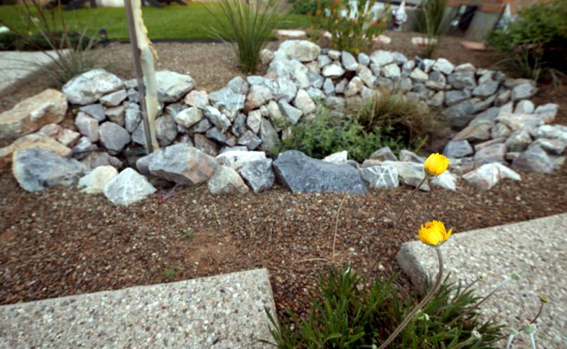 Bragoni/Schnoll home