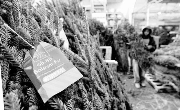 Big-box Christmas trees outsell fresh-cut ones  
