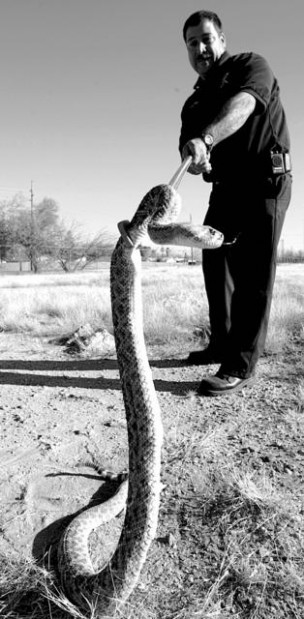 NW Fire won't roll on all rattler calls  