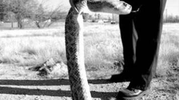 Disected Rattler NW Fire won't roll on all rattler calls