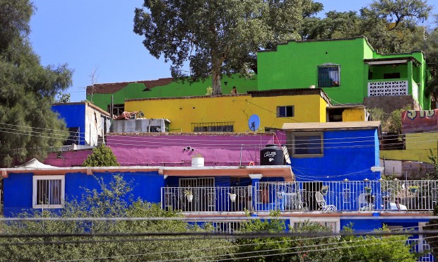 Engalanan de colores cerros de Nogales