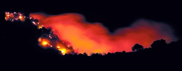 When fire is a benefit  