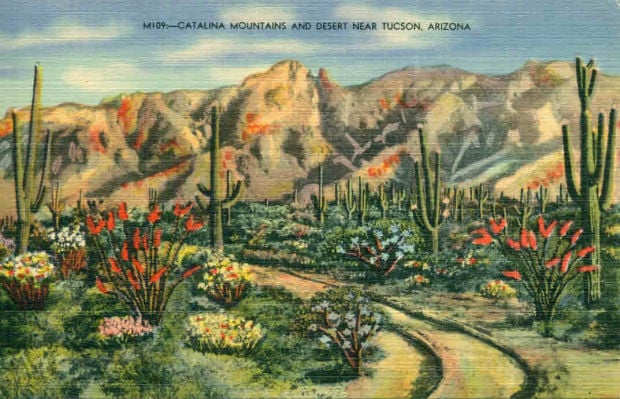 Catalina Mountains and desert