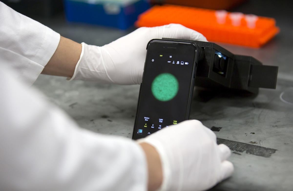 Norvirus detector