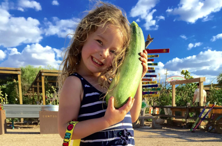Tucson Village Farm