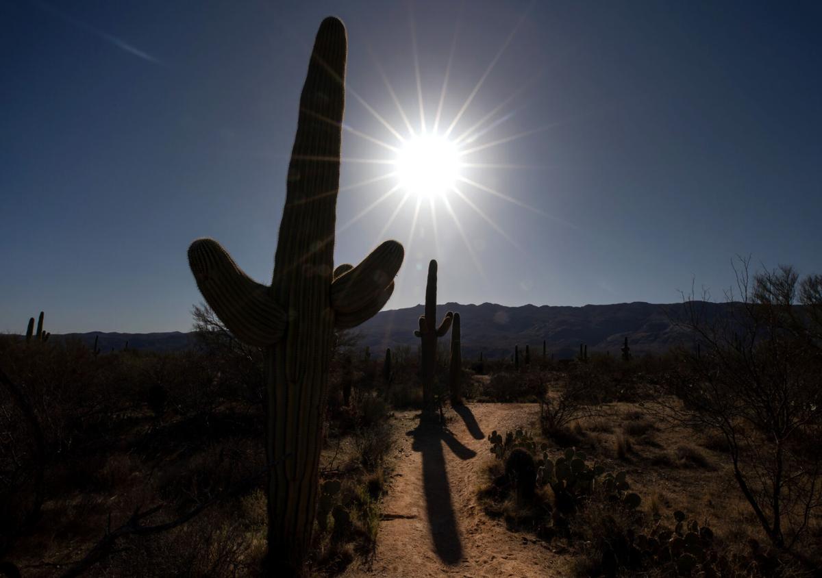 Saguaro National Park