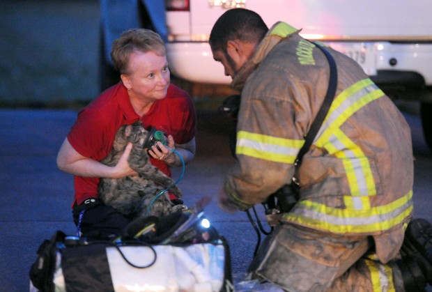 Animal shots of the week