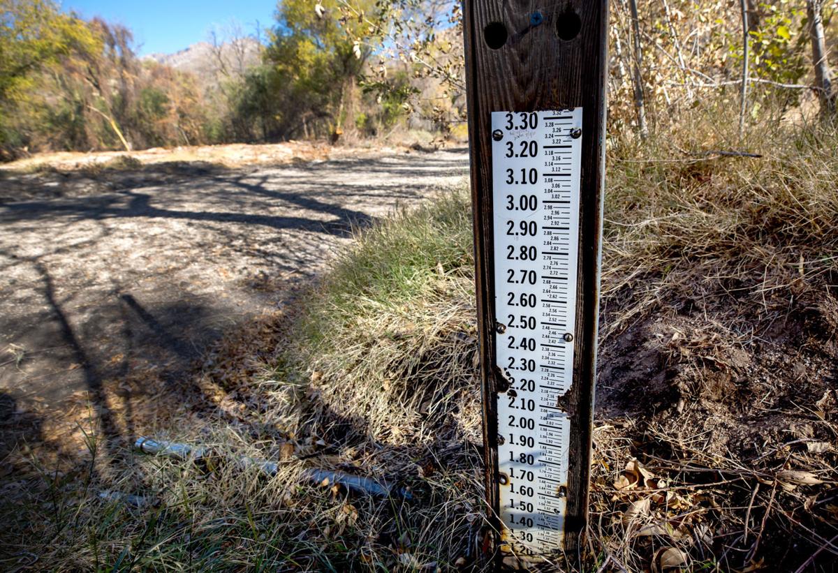 Sabino Creek, 2020