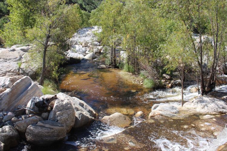 Pan for garnets in Sabino Canyon