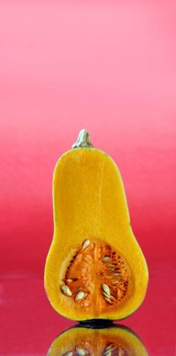 Squash those misconceptions   
