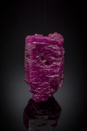 GEOSCIENTIST OUT OF WATER